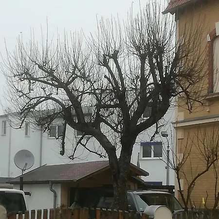 Мини-отель Auestrasse 94a Глаухау