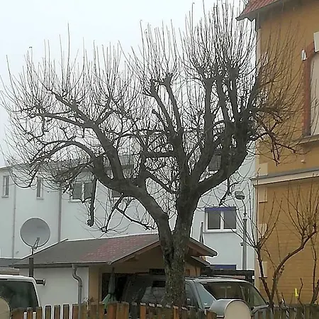 Auestrasse 94a * Glauchau